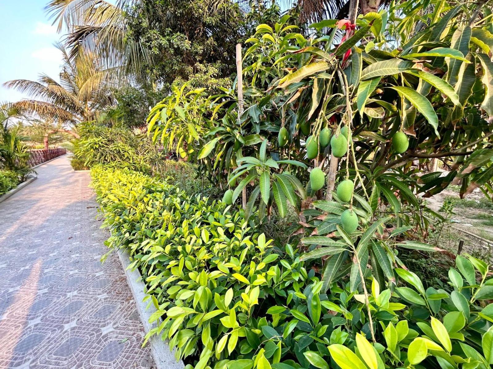 Palli Bangla Resort, Near Ruby Hospital, Anandapur Kolkata Eksteriør bilde